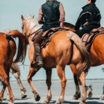 Drei Reiter zu Pferde von hinten an einem Strand