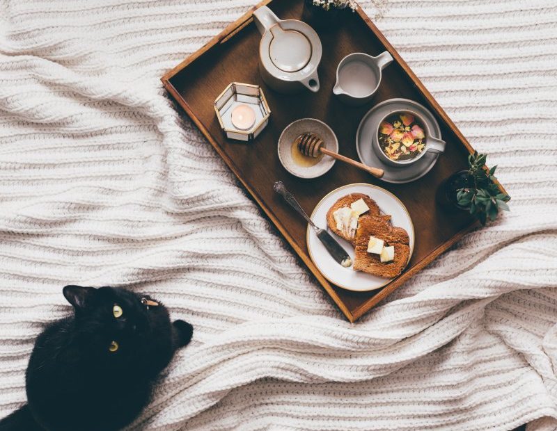 Eine schwarze Katze neben einem Tablett mit Essen darunter auch Käse.