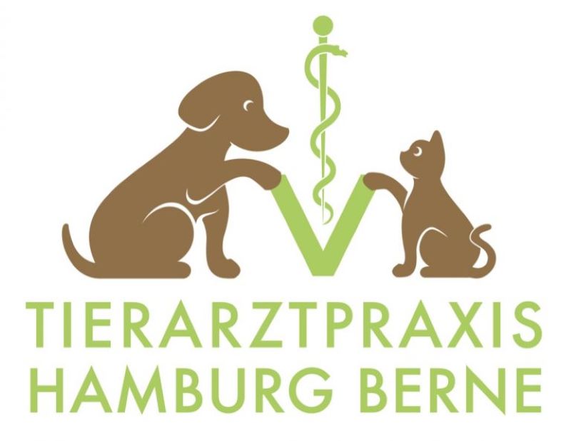 Logo Hamburg Berne